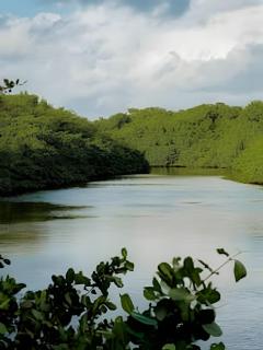 Apartamento de Luxo em Tatuamunha - A 20 Metros do Mar - 1