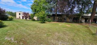 Le haras de gus et lulu - 1