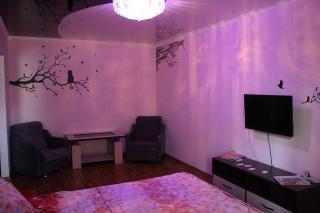 Однокомнатная уютная квартира - 0