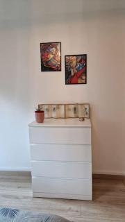 Charming new appartment near Geneva - Ferney-Voltaire - 3