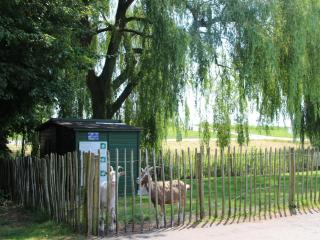 Premium holiday home in Zevenhuizen - Zevenhuizen - 1