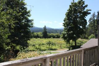 Kiwi Cove Lodge - Ladysmith - 7