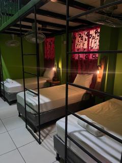 Madroño Hostel - León - 8