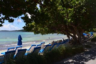 Ritz Carlton Club - St Thomas - 7