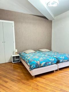 Appartement au centre ville - Salies-de-Béarn - 7