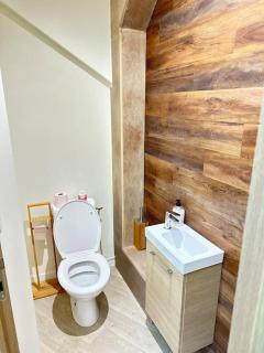 Appartement au centre ville - Salies-de-Béarn - 3