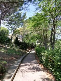 Superb flat in a residence Collines d'Estanove - 1