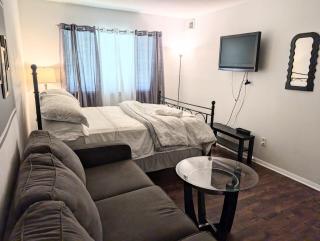 Sweet Nest in Central Raleigh - Raleigh - 2