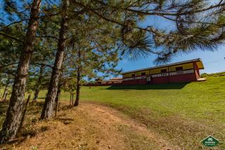 Fazenda D'anape - Jarinu - 7