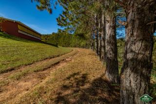 Fazenda D'anape - Jarinu - 8