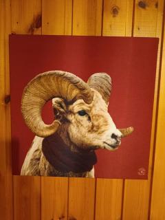 Charmant Chalet de montagne - Picherande - 9