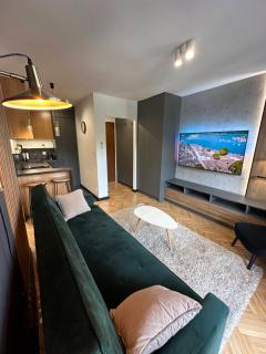 Apartament przy Parku, Centrum, Klimatyzacja, Parking - Kielce - 9