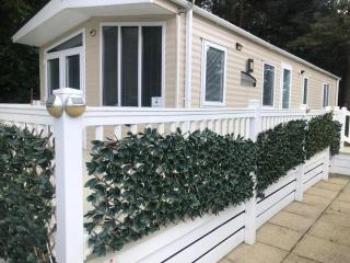 Luxury Caravan on Family Park near Bournemouth - Saint Leonards - 8