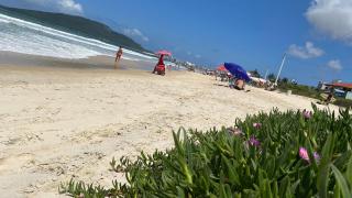 Res. Brumas do Mar, Rua das Gaivotas - 6