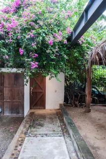 Casa Marco - Puerto Escondido - 1
