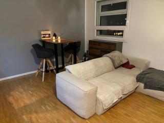 Zentrale Penthouse-Wohnung mit Dachterasse und Flussblick - Magonza - 6