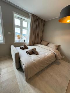 Leilighet i Bergens vakreste gate - Nydelig utsikt over innseilingen til Bergen! - 1