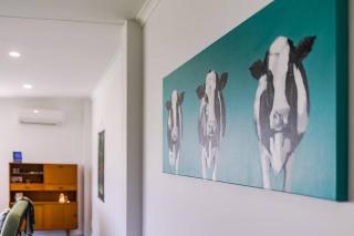 Fraters Escape - Martinborough - Martinborough - 5