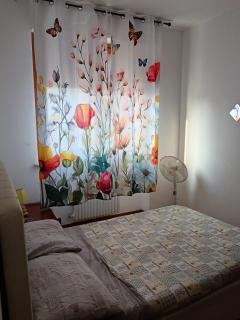 Casa mia - Giulianova - 9