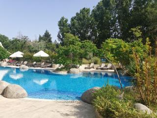 Harmony Suites 11 Grand Resort - Sunny Beach - 5