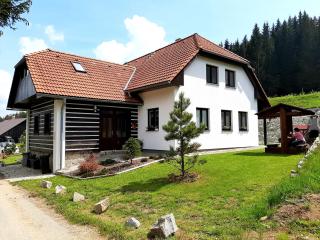 Prázdninový dům - Apartmány Vltavice - 9
