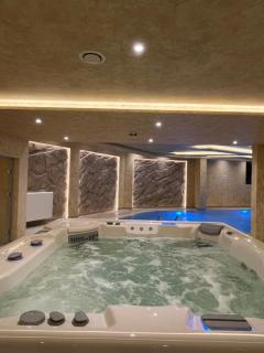 Golden Bird Wellness & SPA - Zlatibor - 9