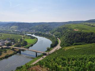 Ferienweingut St. Martin - Ensch - 7