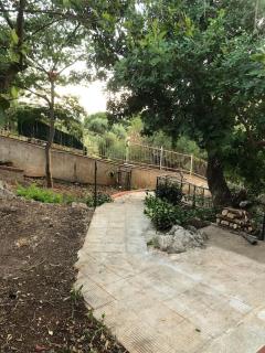 La vecchia quercia - 2