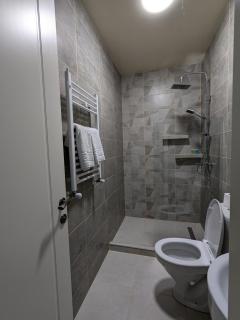 Appartment in Avlabari - Tiflis - 1