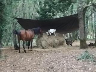 MAISONNETTE pour DÉTENTE ou TRAVAIL - Saint-Aubin-de-Nabirat - 0