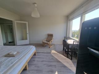 Ylimmän kerroksen yksiö lähellä matkakeskusta - Lappeenranta - 3