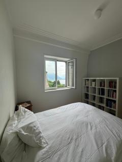 La Vigie montreux, chernex breath taking view - - 1
