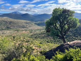 Perdekloof Farm - Somerset East - 1