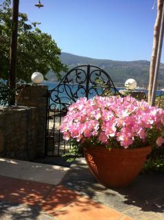 Roditses Beach Sea Front Apartments - Samos - 4