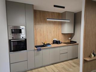 Apartman FIŠBAH 4 self CHECK-IN, FREE PRIVATE PARKING - Osijek - 1
