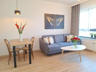 Loft 19 Apartament - w cenie prywatne miejsce postojowe lub garaż - Stettin - 2