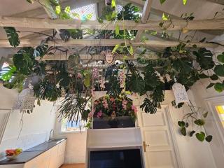 A garden in the clouds in the center of town - 7