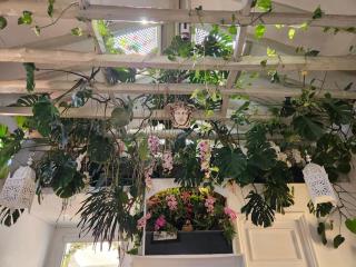 A garden in the clouds in the center of town - 4