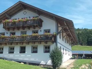 Ferienwohnung im Bayerischen Wald mit Terrasse - Viechtach - 0