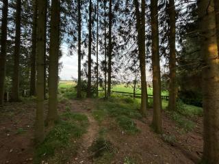 Bergwiesenblick38678 - Clausthal-Zellerfeld - 5