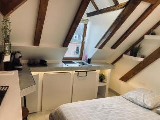 Petit nid sympa a Strasbourg - Strasburgo - 5