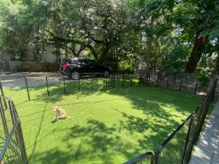 Great central location downtown Austin-Fenced area for dogs, near UT - Austin - 2