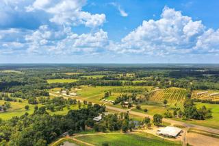 Horses Welcome Pittsburg Home Near Wineries! - 9
