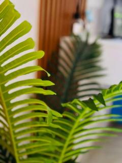 Studio moderne totalement équipé, Abidjan COCODY ANGRE - 2