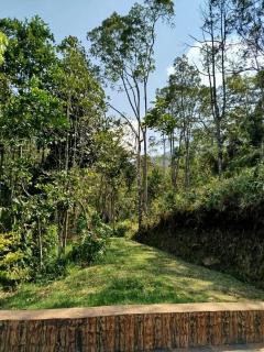 Finca el Eden - 8
