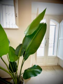 Ortigia House Salomone - Syracuse - 2