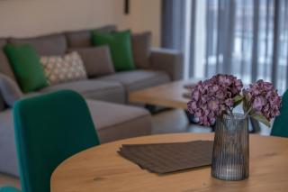 Element Suites - Green - Apt 1BD - Kalambaka - Kalabaka - 2