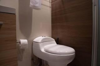 Maravilloso Apt 5hab/3bath en la mejor zona de Polanco - Mexiko-Stadt - 1