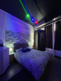 Love room Paris - París - 5