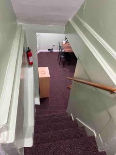 1 Bedroom Basement, NEWLY Renovated - Bellerose Terrace - 1